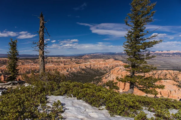 Bryce Point dans le parc national de Bryce Canyon dans l'Utah, États-Unis — Photo