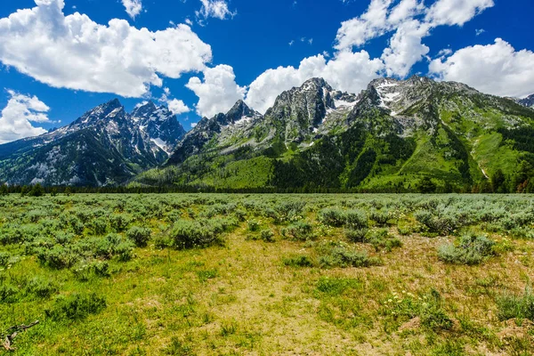 Cathedral Group Turnout in Grand Teton National Park in Wyoming, United States — Stock Photo, Image