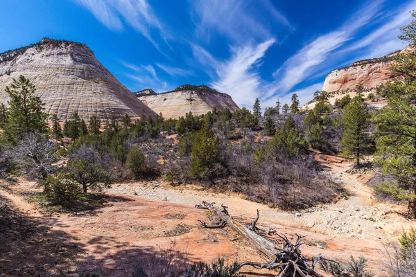 Checkerboard Mesa en Zion National Park en Utah, Estados Unidos —  Fotos de Stock