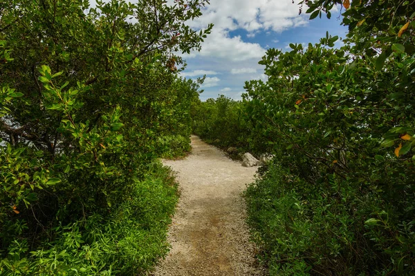 Konvooi Point Trail in Biscayne National Park in Florida, Verenigde Staten — Stockfoto