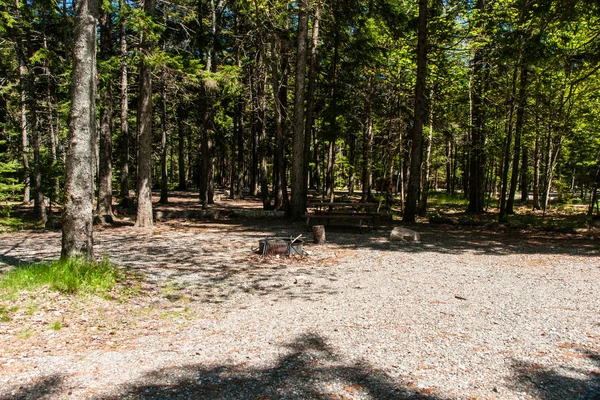 Blackwoods Campground in Acadia National Park in Maine, United States Royalty Free Stock Images