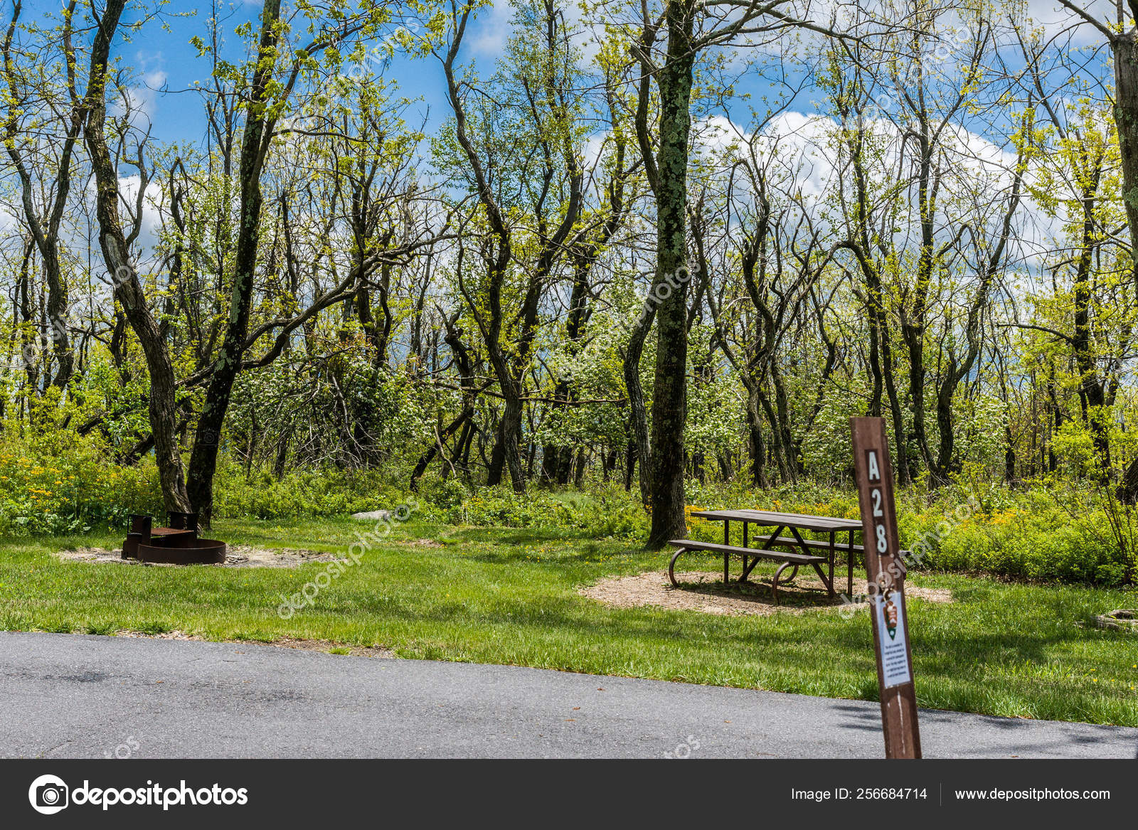 Loft Mountain Campground In Shenandoah National Park In Virginia United States Stock Photo Image By C Nationalparked 256684714