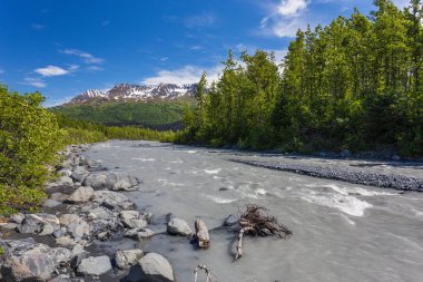 Alaska, Amerika Birleşik Devletleri Kenai Fjords Milli Parkı içinde Glacier Exit