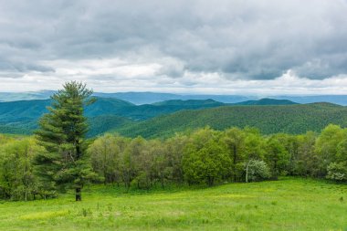 Hazeltop Ridge, Virginia, Amerika Birleşik Devletleri 'ndeki Shenandoah Milli Parkı 'nda yer aldı