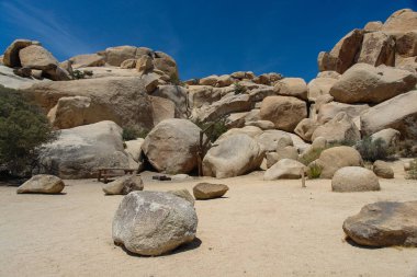 California, Amerika Birleşik Devletleri Joshua Tree National Park gizli vadi kamp