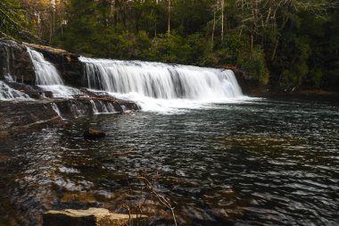 Hooker Kuzey Carolina, Amerika Birleşik Devletleri Dupont State Forest Falls