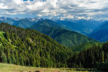 Hurricane Ridge içinde Olimpiyat Milli Parkı Washington, Amerika Birleşik Devletleri