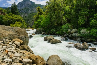 California, Amerika Birleşik Devletleri 'nde Sequoia Ulusal Ormanı 'nda Kings River