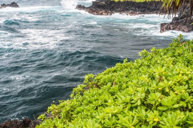 Kipahulu Sahili, Hawaii, Amerika Birleşik Devletleri, Haleakala Milli Parkı