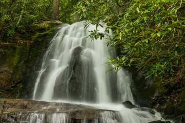 Büyük Smoky Mountains Milli Parkı 'nda yer alan Laurel Falls, Amerika Birleşik Devletleri, Tennessee