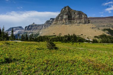 Montana, Amerika Birleşik Devletleri Glacier Milli Parkı 'nda Logan Pass