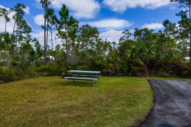 Uzun çam anahtar kamp Everglades Milli Parkı içinde Florida, Amerika Birleşik Devletleri