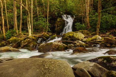 Mouse Creek Kuzey Carolina, Amerika Birleşik Devletleri 'nde büyük Smoky Mountains National Park Falls
