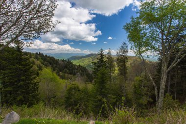 New Found Gap büyük Smoky Mountains National Park Tennessee, Amerika Birleşik Devletleri