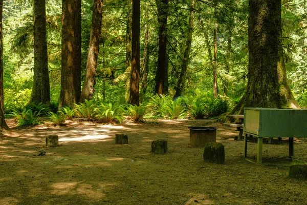 アメリカ合衆国カリフォルニア州レッドウッド国立公園のエルク・プレーリー・キャンプグラウンド — ストック写真