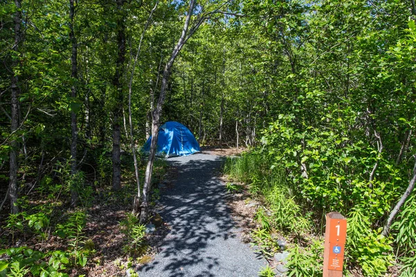 Kilépési gleccser Campground a Kenai FJORDS Nemzeti Park Alaszkában, Egyesült Államok — Stock Fotó