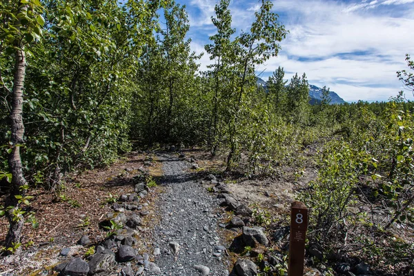 Exit ledovec v národním parku Kenai Fjords na Aljašce, Spojené státy — Stock fotografie