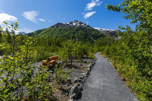 Kilépési gleccser Kenai FJORDS nemzeti parkban, Alaszkában, Egyesült Államok — Stock Fotó