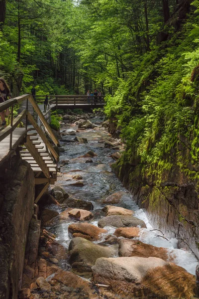 Flume Gorge in Franconia Notch State Park in New Hampshire, United States — Stock Photo, Image