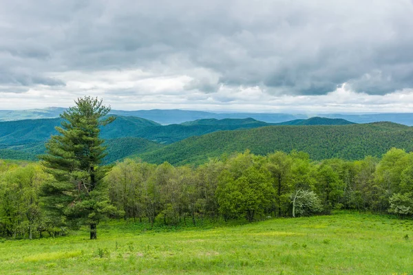 Hazeltop Ridge kijken uit in Shenandoah National Park in Virginia, Verenigde Staten — Stockfoto