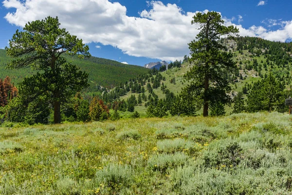 Холлоуелл парк в Скелясті гори Національний парк в Колорадо, Сполучені Штати — стокове фото