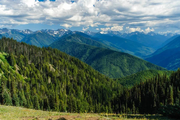 Hurricane Ridge in Olympic National Park in Washington, United States — Stock Photo, Image