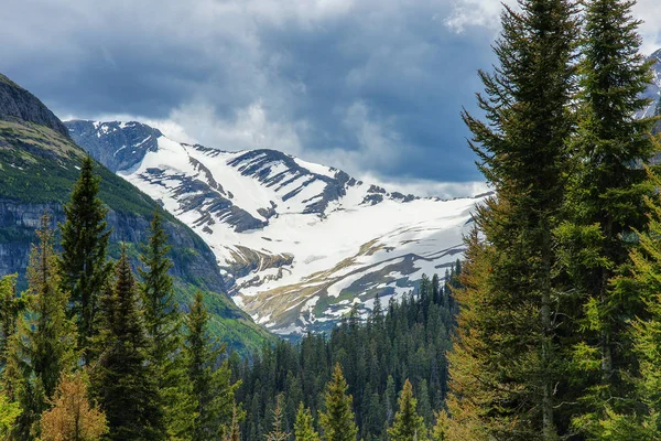 Jackson Glacier in Glacier National Park in Montana, United States — Stock Photo, Image