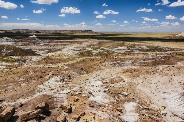 Jasper Forest i förstenade Forest nationalpark i Arizona, Förenta staterna — Stockfoto