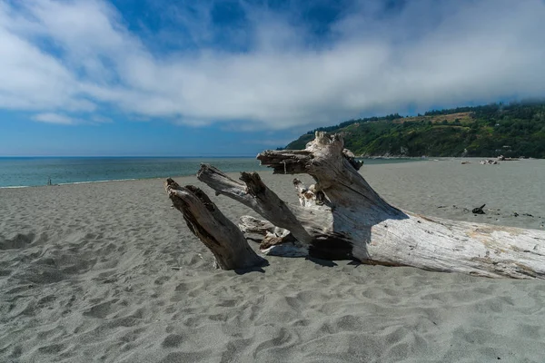 Klamath Mouth in Redwood National Park in California, United States — Stock Photo, Image