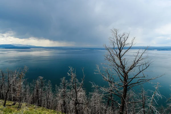 Озеро Батт в Национальном парке Йеллоустоун в штате Вайоминг, США — стоковое фото