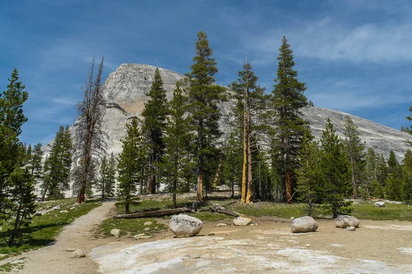 Lembert Dome nel Yosemite National Park in California, Stati Uniti — Foto Stock