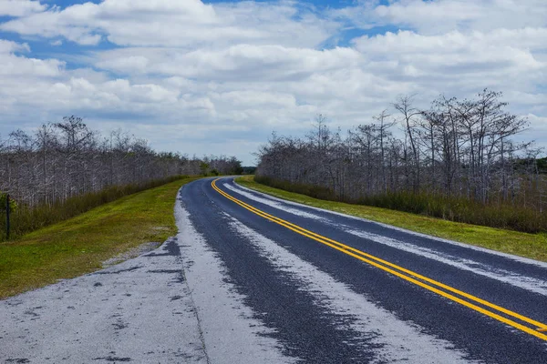 Main Park Road em Everglades National Park, na Flórida, Estados Unidos — Fotografia de Stock