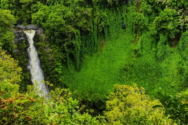 Wodospad makahiku w parku narodowym Haleakala na Hawajach, USA — Zdjęcie stockowe