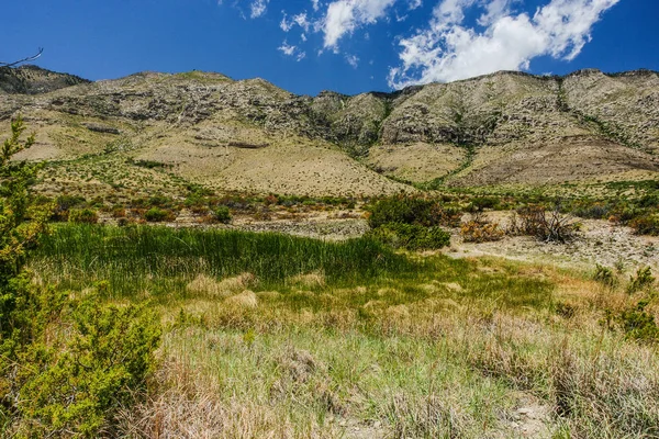 Manzanita Spring Trail in Guadalupe Mountains National Park in Texas, United States