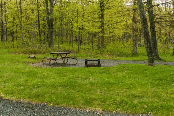 Virginia, Amerika Birleşik Devletleri Shenandoah Milli Parkı 'nda Mathews kol kamp alanı — Stok fotoğraf