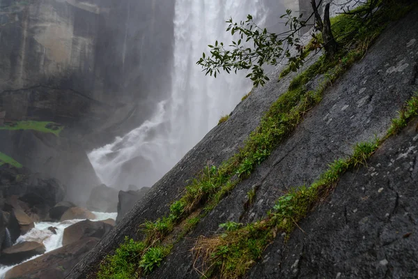 Stezka pro mlhu v Yosemite National Park v Kalifornii, USA — Stock fotografie