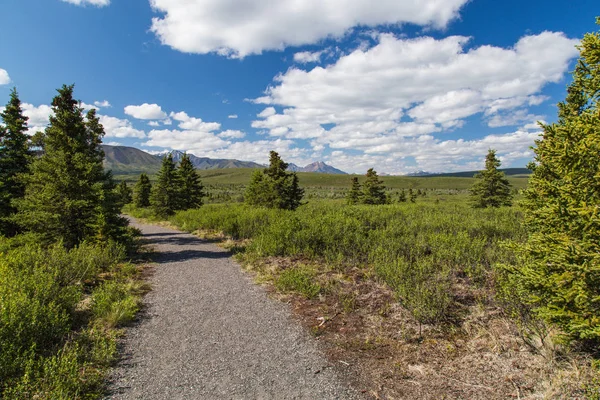 Mountain Vista Trail no Parque Nacional de Denali no Alasca, Estados Unidos — Fotografia de Stock