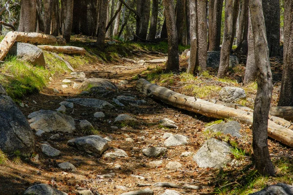 Murphy Creek trailhead v Yoosemitském národním parku v Kalifornii ve Spojených státech amerických — Stock fotografie