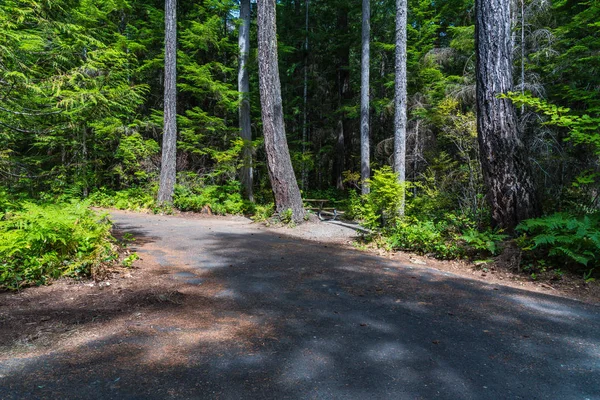 Newhalem Creek Campground w North Cascades National Park Complex, Stany Zjednoczone Ameryki — Zdjęcie stockowe