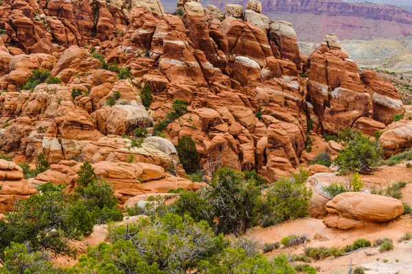 Brennpunkt i Arches nasjonalpark i Utah, USA royaltyfrie gratis stockfoto