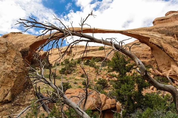 Landscape Arch in Arches National Park in Utah, United States Royalty Free Stock Images