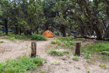 Colorado, Amerika Birleşik Devletleri 'nde Gunnison Milli Parkı siyah Kanyon Kuzey Rim kamp