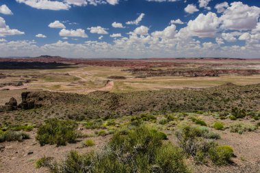 Pintado noktası Arizona 'da Petrified orman Milli Parkı, Amerika Birleşik Devletleri