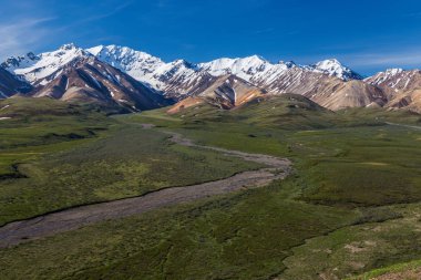 Polinoktan görünümü Alaska, Amerika Birleşik Devletleri Denali Milli Parkı 'nda Overlook