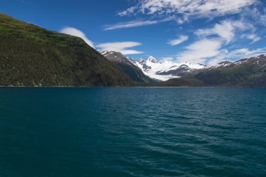 Alaska, Amerika Birleşik Devletleri Chugach Ulusal Ormanı 'nda Prens William Sound