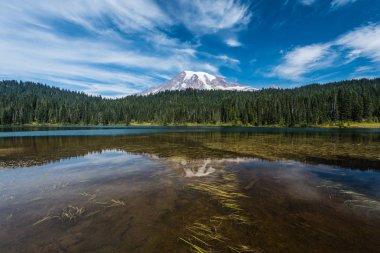 Yansıma Lakes in Mount Rainier National Park Washington, Amerika Birleşik Devletleri