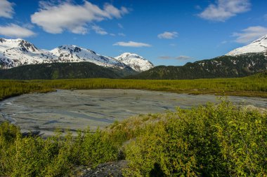 Alaska 'da Kenai Fjords Milli Parkı 'nda diriliş Nehri, Amerika Birleşik Devletleri