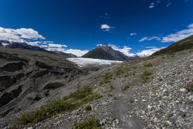 Wrangell-St. Elias Milli Parkı 'nda, Alaska 'da root Glacier Trail, Amerika Birleşik Devletleri
