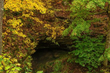 Kum Mağarası Trail içinde Mammoth Cave National Park Kentucky, Amerika Birleşik Devletleri