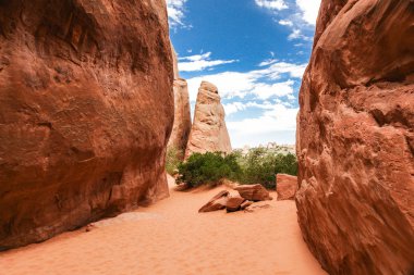 Utah, ABD 'deki Arches Milli Parkı 'nda Sand Dune Arch Trail